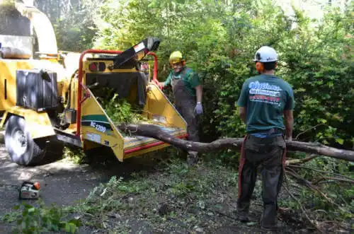 tree services Morrilton